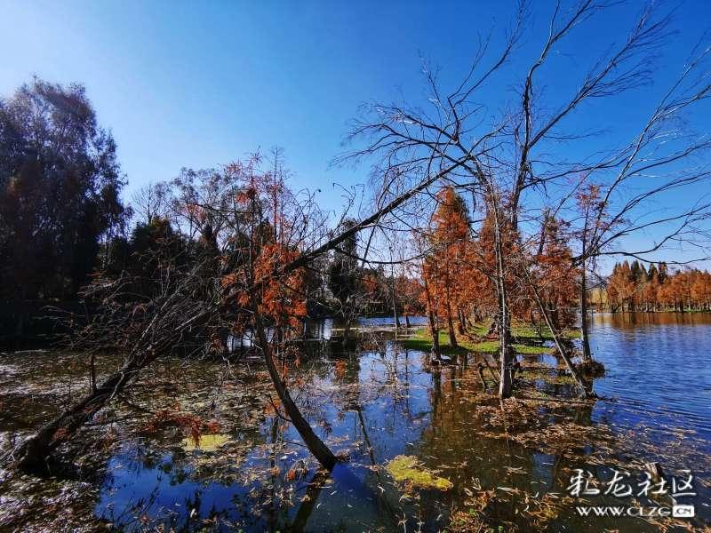高级定制